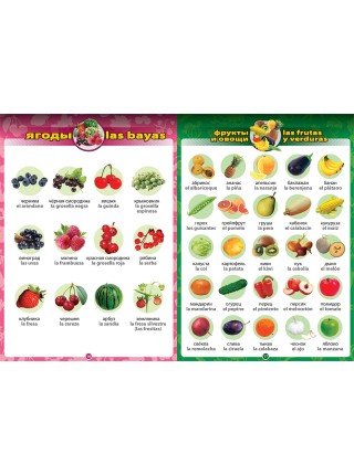 Говорящий испанско-русский и русско-испанский словарь