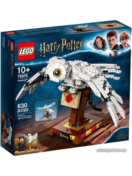 Конструктор LEGO Harry Potter 75979 Букля