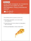Программирование Игра-головоломка BRAINY TRAINY